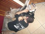 Foto pengguna porutnik