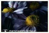 Фото користувача martynaa000