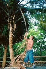 Фото користувача msmisiek