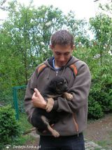 Zdjęcie użytkownika Dedejv