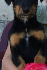 Zdjęcie użytkownika KRIS2208