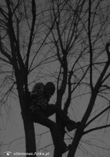 Foto pengguna xtlenionax