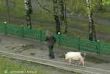 Фотография пользователя suchyjacek1