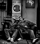 Benutzerfoto malpa46