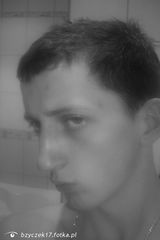Benutzerfoto bzyczek17