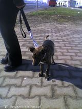 Zdjęcie użytkownika oleczka161616