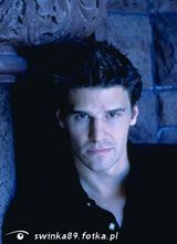 Benutzerfoto swinka89