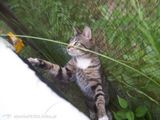 Фотография пользователя Myszka95306