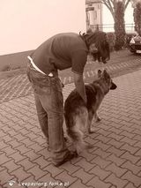 Zdjęcie użytkownika Leepaylong