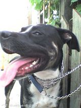 Фотография пользователя KiLeRKiLeR19112