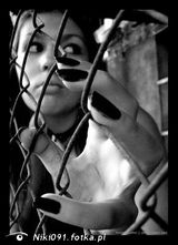Фотография пользователя Niki091