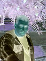 Benutzerfoto BobasBobek