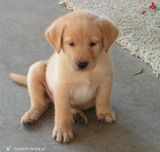 Zdjęcie użytkownika XxlozxX