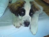 Photos lila1rok