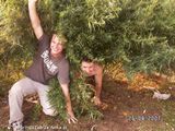 Фотография пользователя TyGrYsEkZaBrZe
