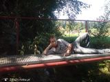 Fotos ZiBa21