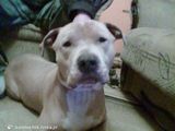 Фотография пользователя kamilek96k