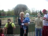 Фотография пользователя 222marzenka222