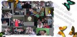 Foto pengguna dlugi20002