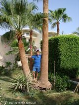 Benutzerfoto Bartez1985B