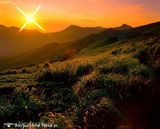 Zdjęcie użytkownika BoySunshine