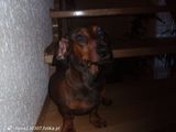 Foto pengguna fiona230307