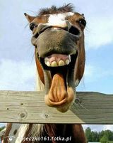 Фото користувача Jajeczko161