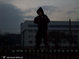Фотография пользователя dartania