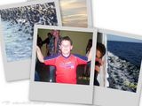 Fotos wilczek102