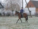 Фотография пользователя Paaawexx11