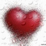 Zdjęcie użytkownika sylwia2451