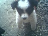 Фотография пользователя pawlikkkkkkkkkkkk