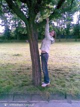 Foto utilizatorului whitedope