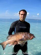 Foto pengguna jamaica12121