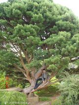 Фотография пользователя zizi1908