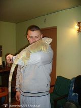 Benutzerfoto Kameleon2555