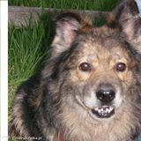 Фотография пользователя Estiibruti