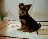 Benutzerfoto emilusiamusia