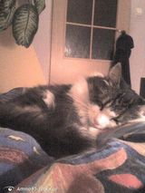 Zdjęcie użytkownika Amino95