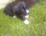 Zdjęcie użytkownika KoTeeeeeczek