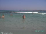 Fotos wild223