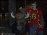 Benutzerfoto michal9666