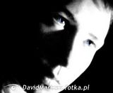 Фотография пользователя DavidMariusz