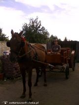 Benutzerfoto xxMariuszxx91