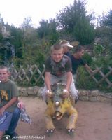 Fotos jasiek6828