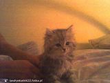 Benutzerfoto landrynka66622
