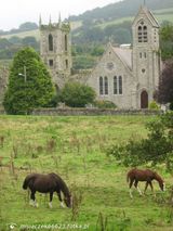 Fotos misiaczek66623