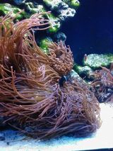 Foto utilizatorului kudlaty314