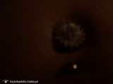 Fotos XxAshantiXx