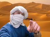 Фотография пользователя ZbiGg87